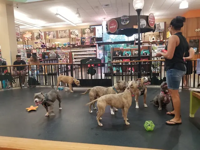 Pet vet Pet Food Express Roseville