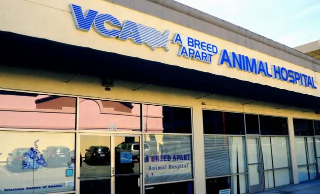 Pet vet VCA A Breed Apart Animal Hospital Glendale