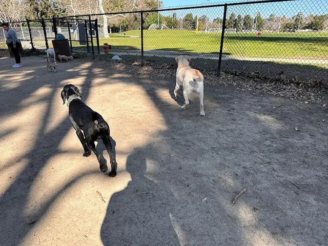 Dog Park Camino Real Park Ventura