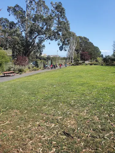 Dog Park Little Hollywood Park Daly City