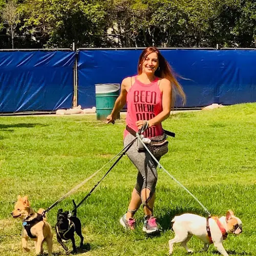 Dog walker Playa Paws Los Angeles