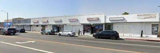 Dog Grooming Blessed Dog Grooming Rialto