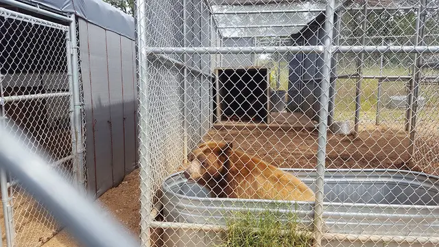 Rescue & Shelter Barry R. Kirshner Wildlife Sanctuary Chico