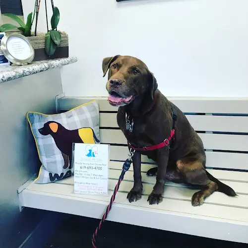 Pet vet Jamacha Pet Vets El Cajon