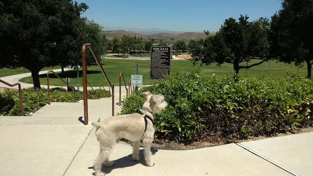 Dog Park Sycamore Canyon Park Simi Valley