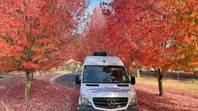 Pet vet Sai Mobile Veterinary Clinic Livermore
