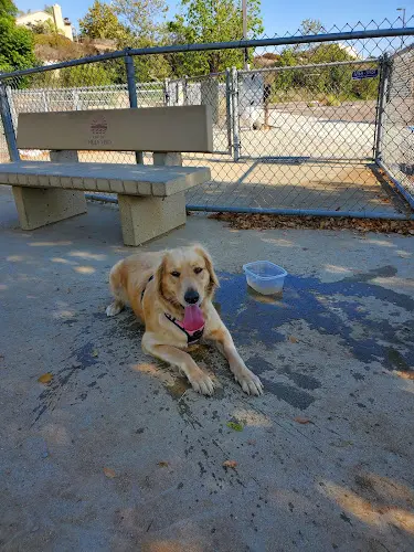 Dog Park Mount San Miguel Park Chula Vista
