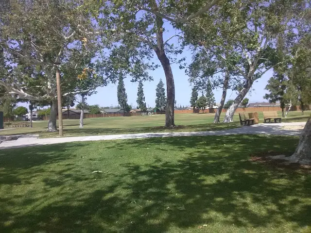 Dog Park Hermosillo Park Norwalk