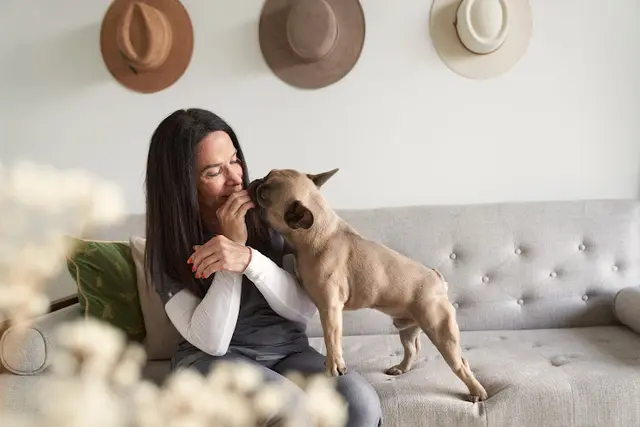 Pet vet Elite Veterinary Care Santa Monica