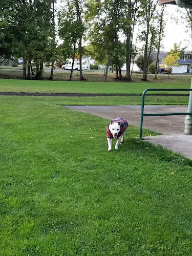 Dog Park Emerald Park Eugene