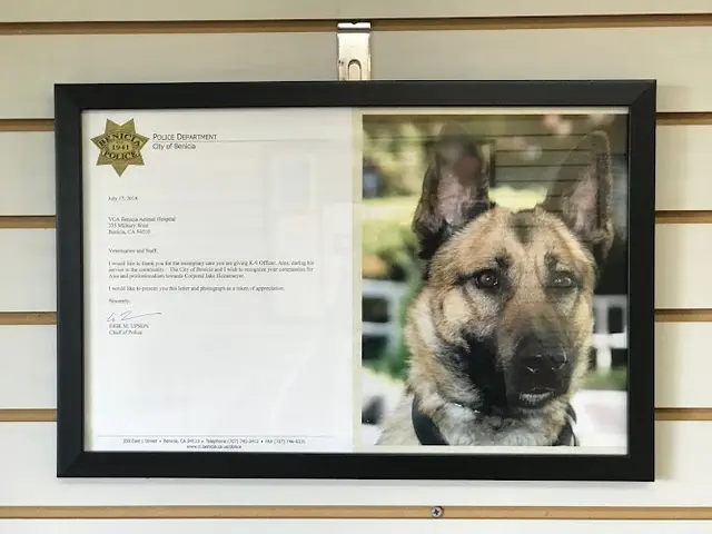 Dog day care center VCA Benicia Animal Hospital Vallejo