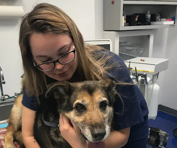 Pet vet Ranch House Veterinary Services Oceanside