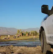 Rescue & Shelter Coachella Valley Mosquito and Vector Control District Indio