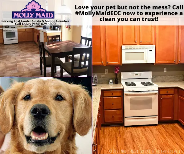 Pet boarding service Molly Maid of East Contra Costa and Solano Counties Antioch