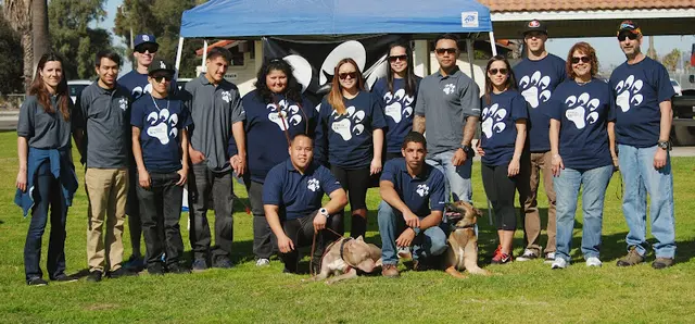 Dog day care center Sandlot K9 Services Los Angeles
