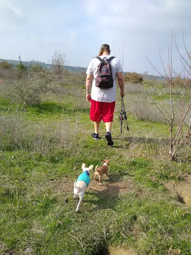 Dog Park River West Access Fresno