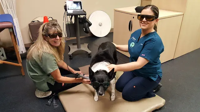 Pet vet Eastridge Animal Hospital El Cajon