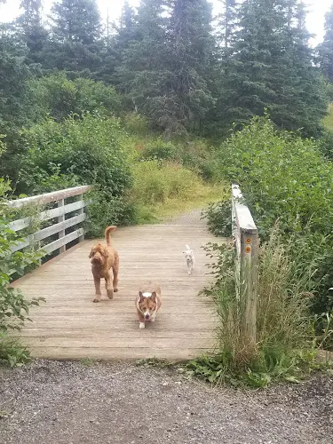 Dog Park Upper Huffman Trailhead Anchorage