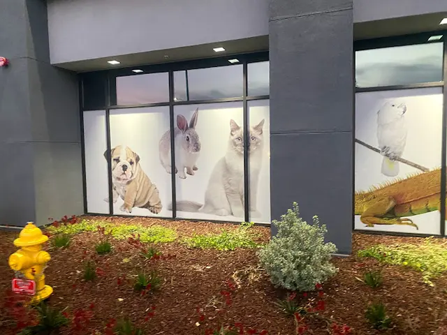 Pet boarding service ARCHVET Emergency Hospital San Jose