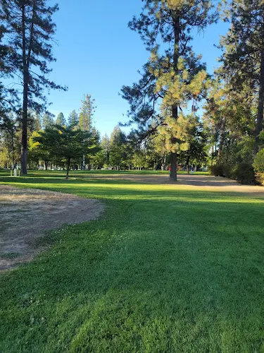 Dog Park Comstock Park Spokane