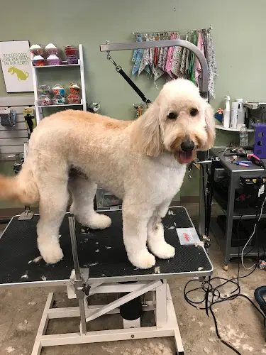 Pet boarding service Clips and Treats El Cajon