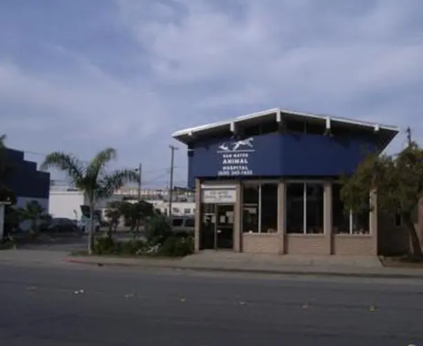 Pet vet VCA San Mateo Animal Hospital San Mateo
