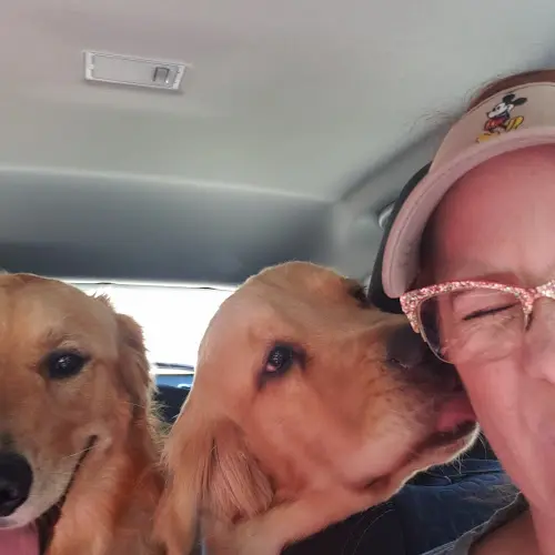Dog trainer Manners Please Canine Training Norwalk
