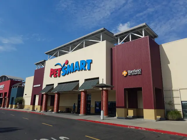 Dog walker PetSmart Sacramento