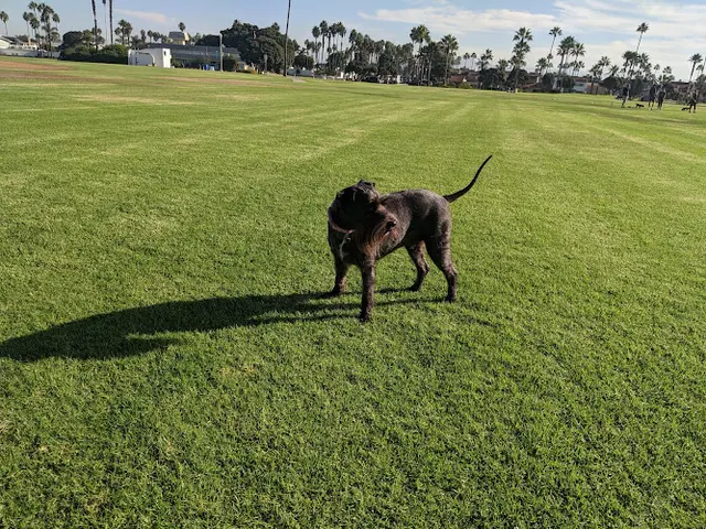 Dog Park Coronado Cays Dog Park Chula Vista