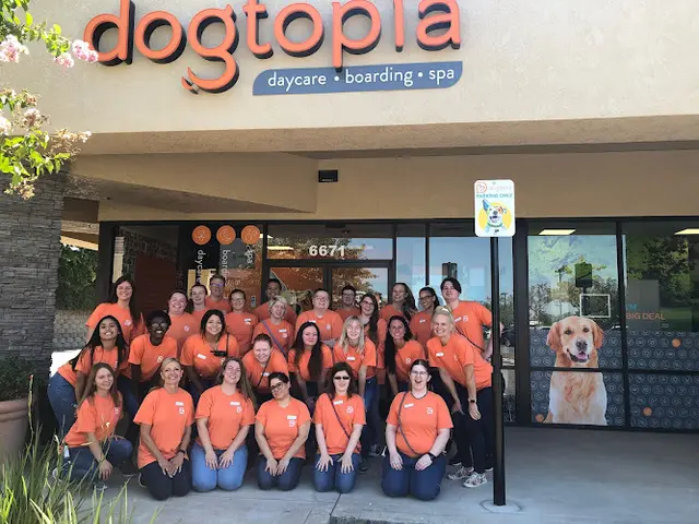 Dog day care center Dogtopia of Rocklin Sacramento