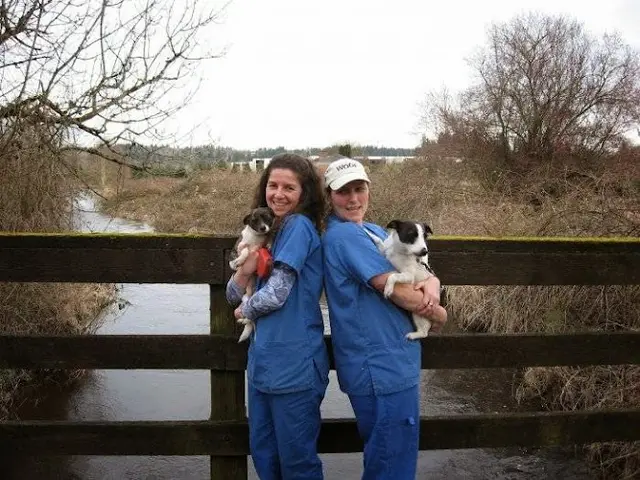 Pet vet VCA Redmond Animal Hospital Kirkland