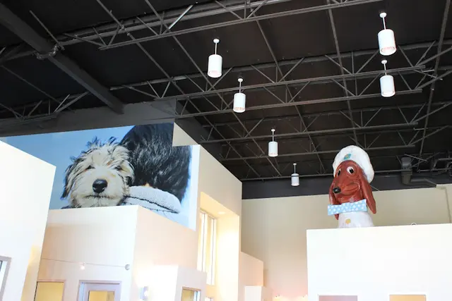 Pet vet Peninsula Humane Society & SPCA Adoption Center San Mateo