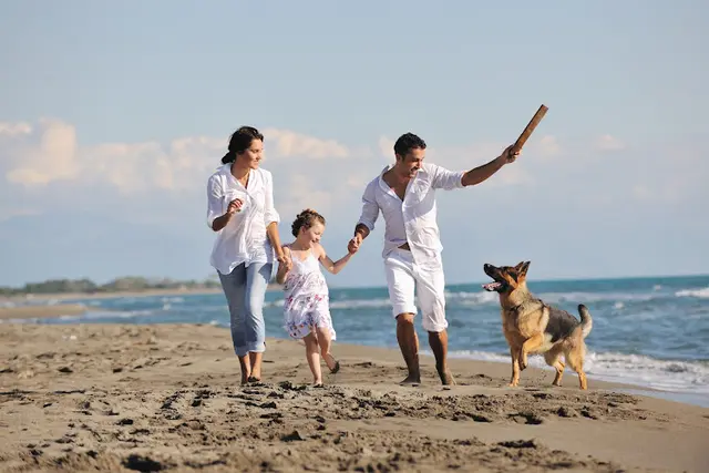 Pet boarding service Jamacha Pet Vets El Cajon