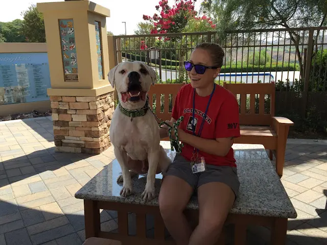 Dog day care center Mission Viejo Animal Services Center Mission Viejo