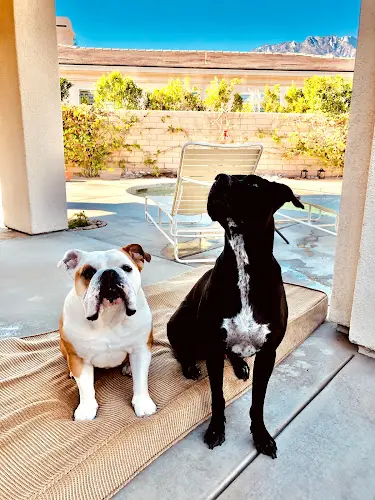 Pet boarding service Veterinary Ophthalmic Consulting Anaheim