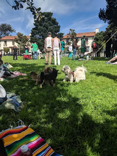 Dog Park Patrick's Park San Francisco