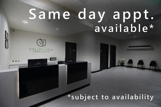 Pet vet Valley View Animal Hospital Fullerton