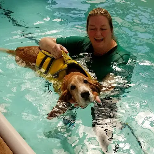 Dog trainer Kokoro Dog Kirkland