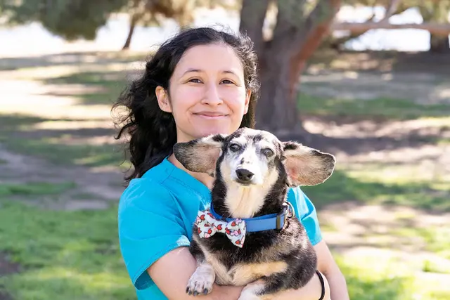 Pet vet Lake Balboa Veterinary Care Burbank