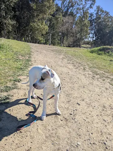 Dog Park Sykes Ranch Park Temecula