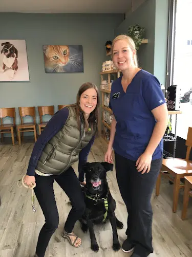 Pet vet Cascade Pet Hospital Kirkland