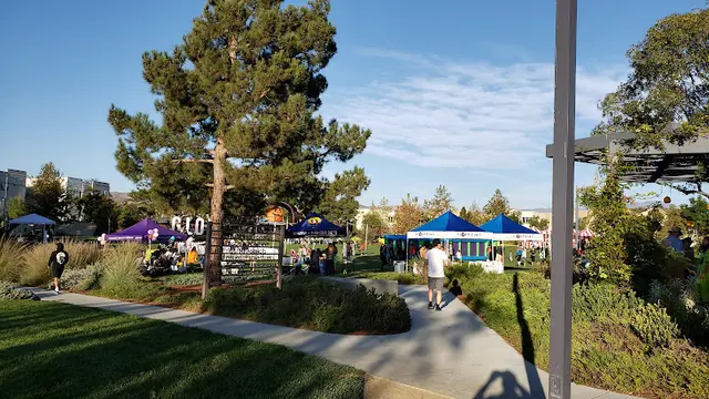 Dog Park Beacon Park Irvine