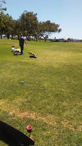Dog Park Lark View Park Huntington Beach