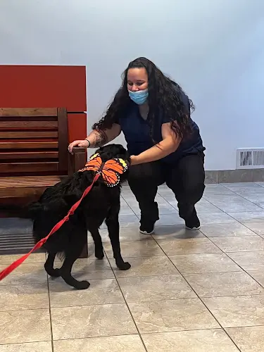 Pet vet Vancouver Veterinary Hospital Vancouver
