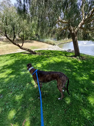 Dog Park Polliwog Park Dog Park Carson