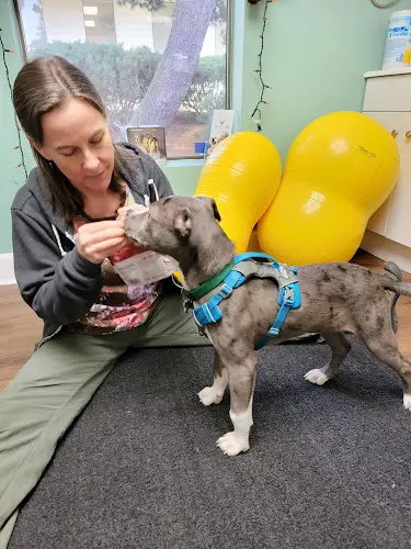 Dog day care center Healing Arts Animal Care Beaverton