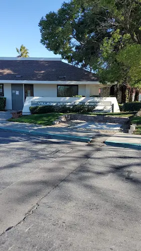 Dog day care center Village Veterinary Hospital Stockton