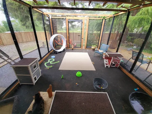 Dog breeder Jewelspride Bengals Bellingham