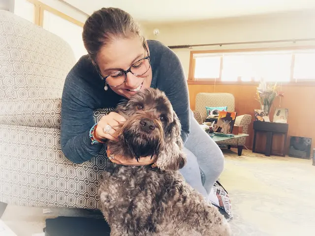 Pet vet Integrative Pet Wellness Center Torrance