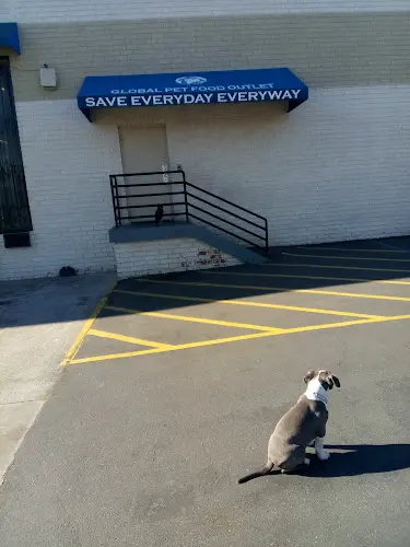 Pet boarding service Global Pet Food Outlet Torrance